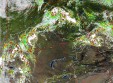    NOAA 19 