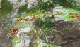     NOAA 19 