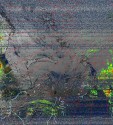     NOAA 19 