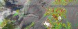     NOAA 19 