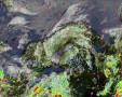     NOAA 19 