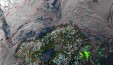     NOAA 19 