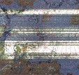     NOAA 19 