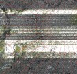     NOAA 19 