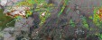     NOAA 19 