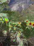     NOAA 19 