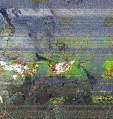     NOAA 19 