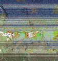     NOAA 19 