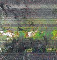     NOAA 19 