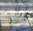     NOAA 19 