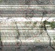     NOAA 19 