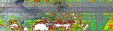     NOAA 19 