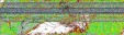     NOAA 19 