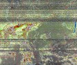     NOAA 19 