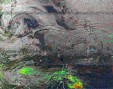     NOAA 19 