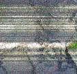     NOAA 19 