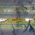    NOAA 19 