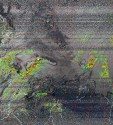     NOAA 19 
