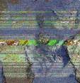     NOAA 19 