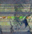    NOAA 19 