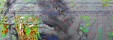     NOAA 19 