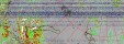     NOAA 19 