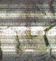     NOAA 19 