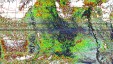     NOAA 19 