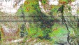     NOAA 19 