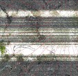     NOAA 19 