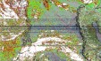     NOAA 19 