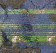     NOAA 19 