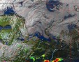     NOAA 19 
