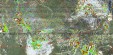     NOAA 19 
