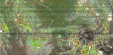     NOAA 19 