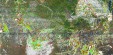     NOAA 19 