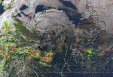     NOAA 19 