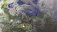     NOAA 19 