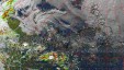     NOAA 19 