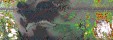     NOAA 19 