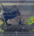     NOAA 19 