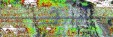     NOAA 19 