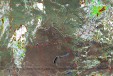     NOAA 19 
