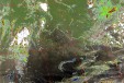     NOAA 19 