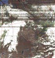     NOAA 19 