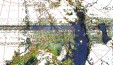     NOAA 19 