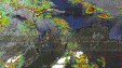     NOAA 19 
