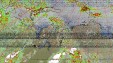     NOAA 19 