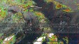    NOAA 19 