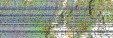     NOAA 19 